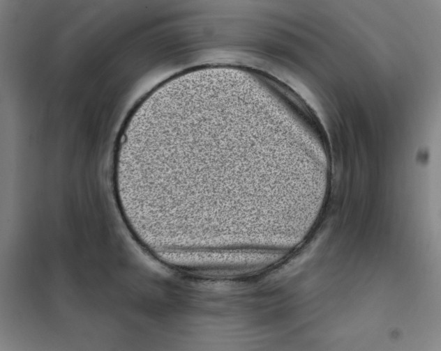 X0000101421045200808041123
