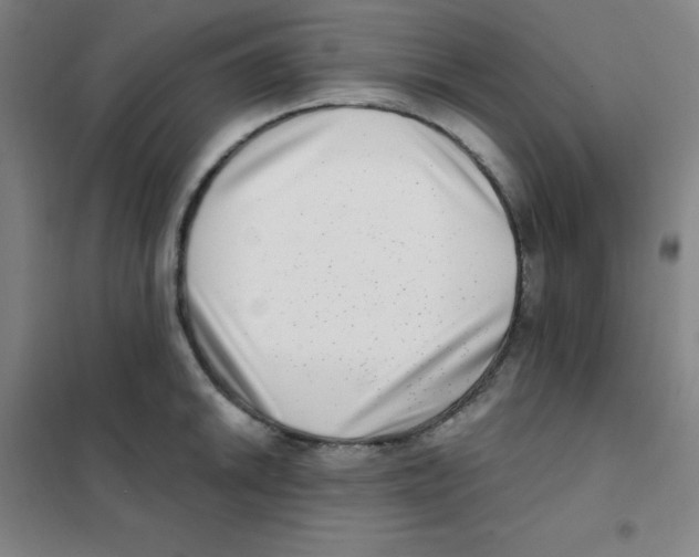 X0000101421046200808041123
