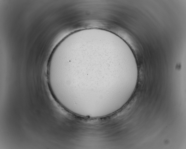 X0000101421047200808041123