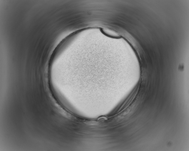 X0000101421048200808041123