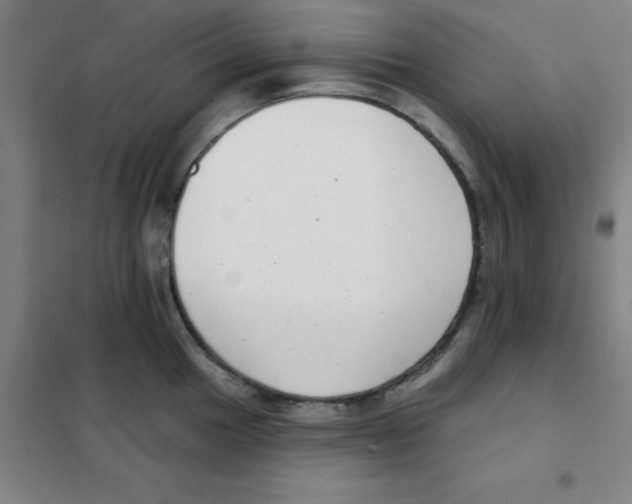 X0000101421049200808041123
