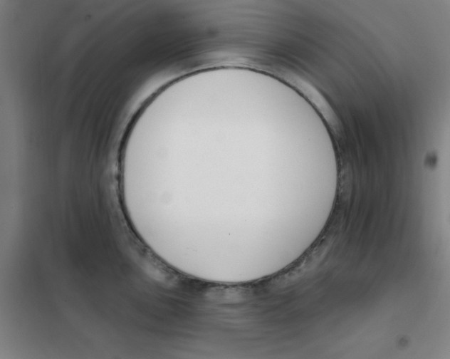 X0000101421051200808041123