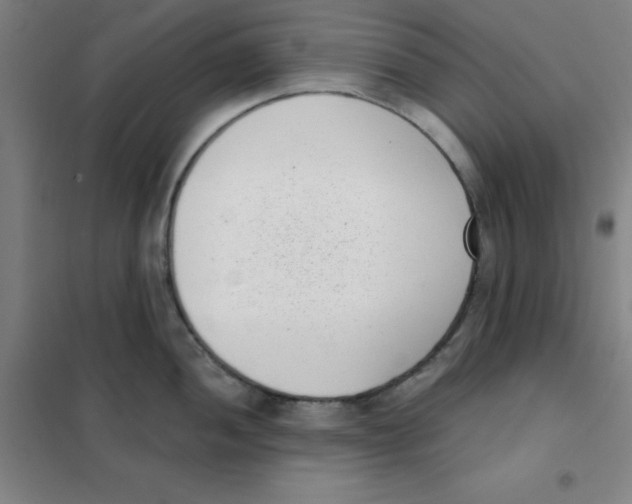 X0000101421052200808041123