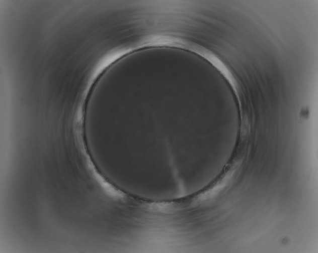 X0000101421053200808041123