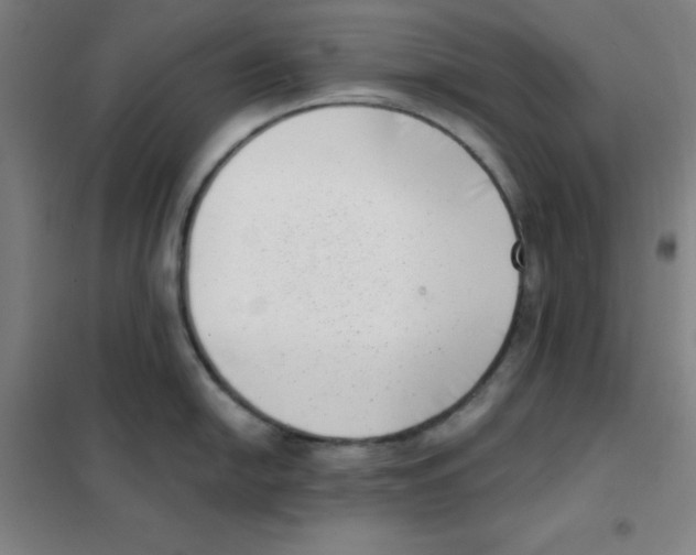 X0000101421054200808041123
