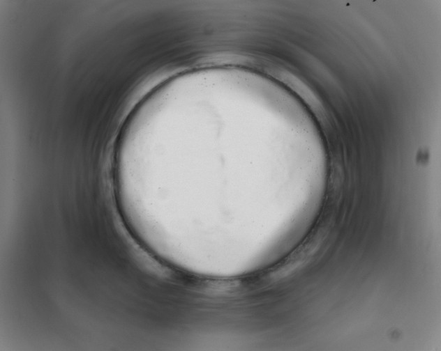 X0000101421055200808041123