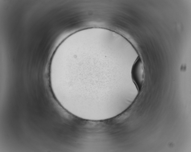 X0000101421056200808041123