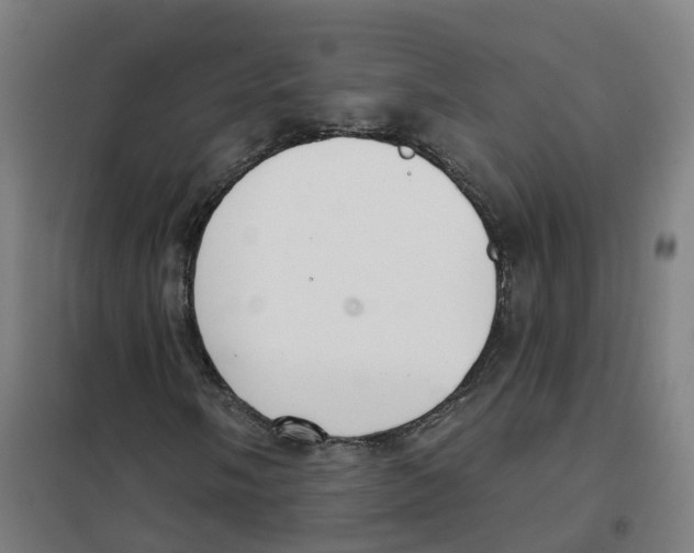 X0000101421058200808041123