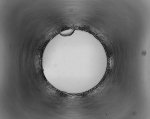 X0000101421059200808041123