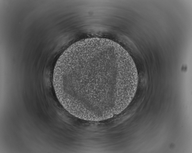 X0000101421060200808041123