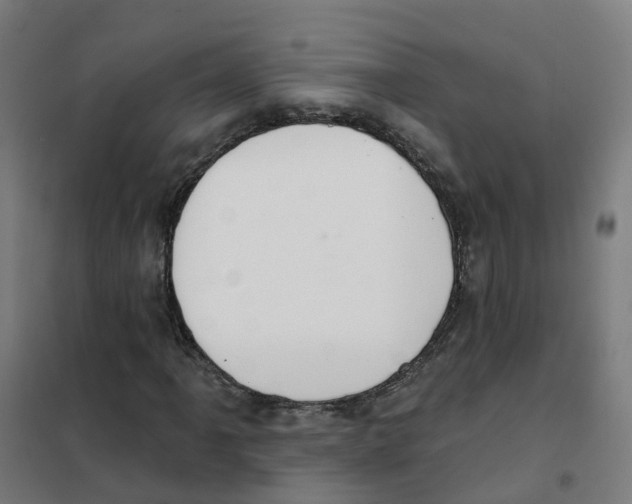 X0000101421061200808041123