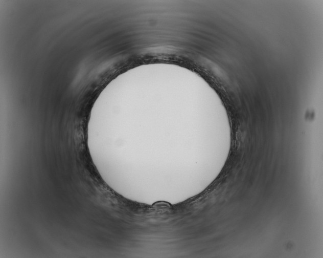 X0000101421062200808041123