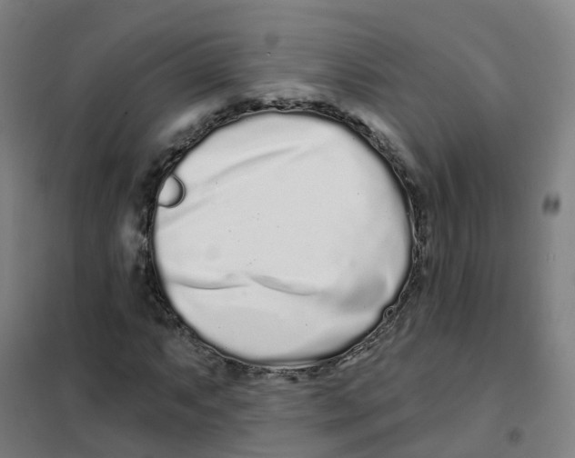 X0000101421063200808041123