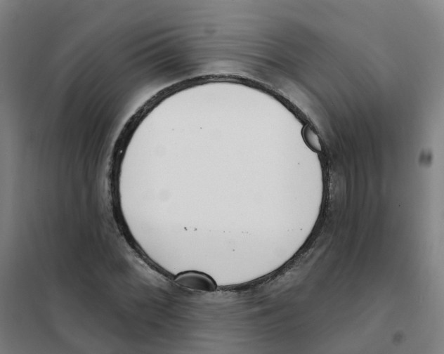 X0000101421068200808041122