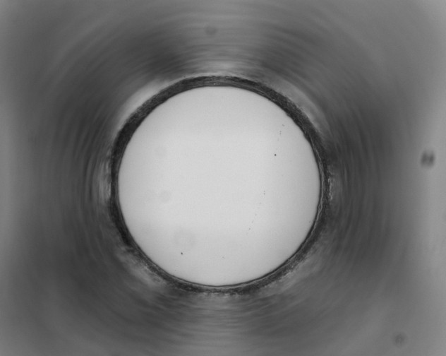 X0000101421069200808041122