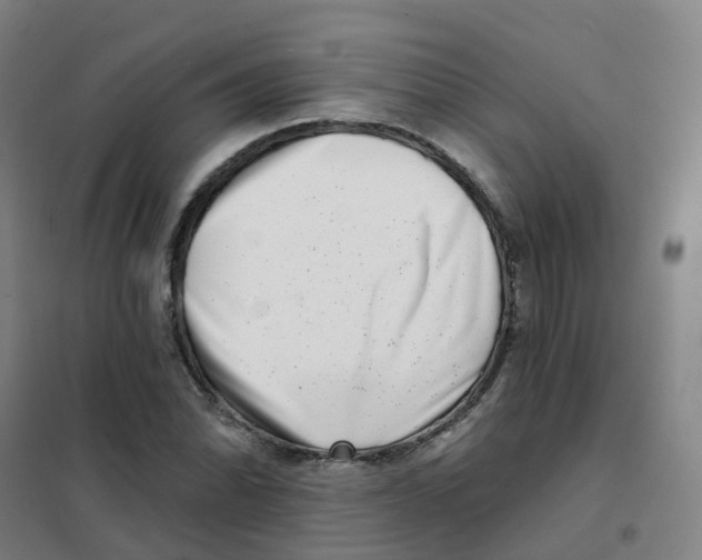 X0000101421070200808041122