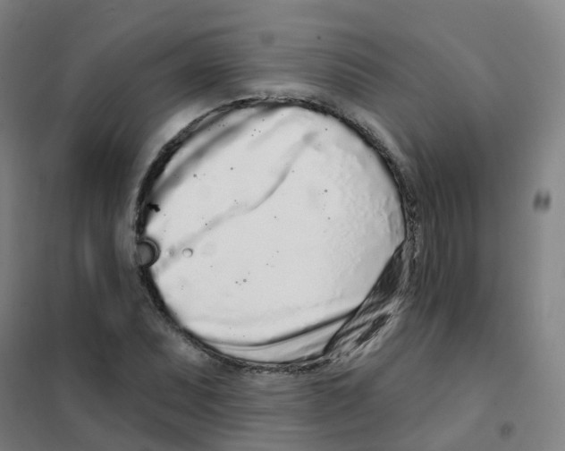 X0000101421071200808041122