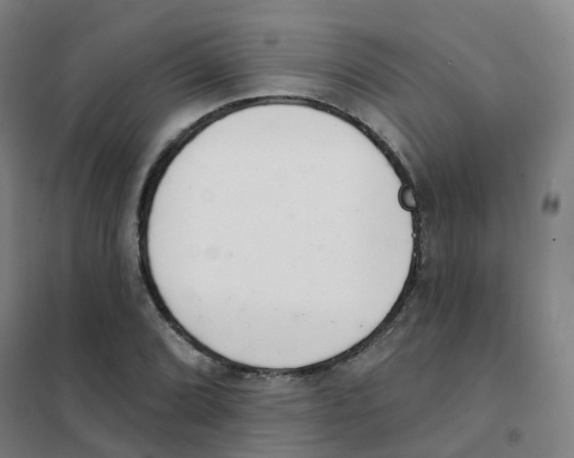 X0000101421072200808041122