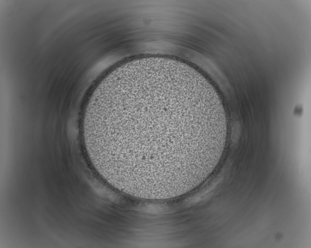 X0000101421074200808041122