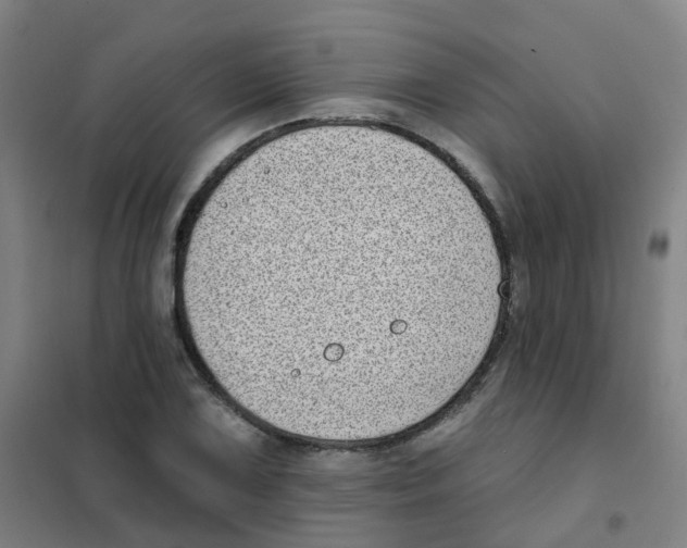 X0000101421075200808041122