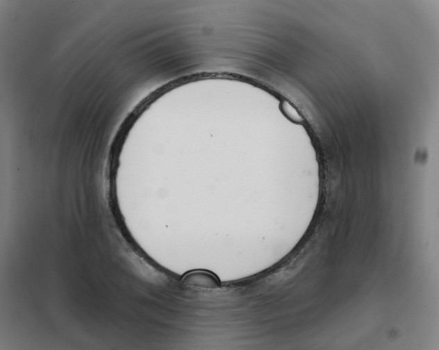 X0000101421076200808041122
