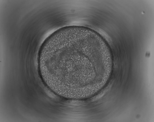 X0000101421077200808041122