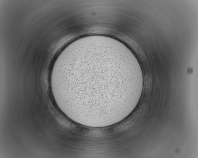 X0000101421078200808041122