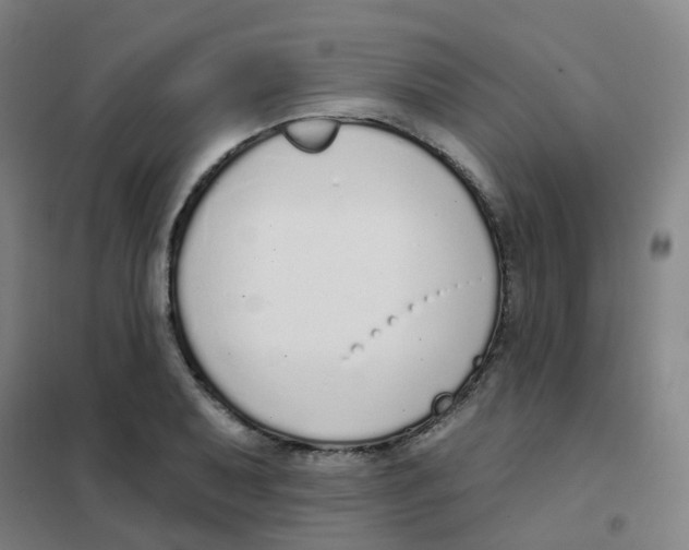 X0000101421079200808041122