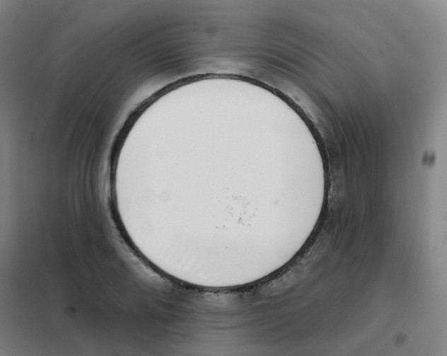 X0000101421080200808041122