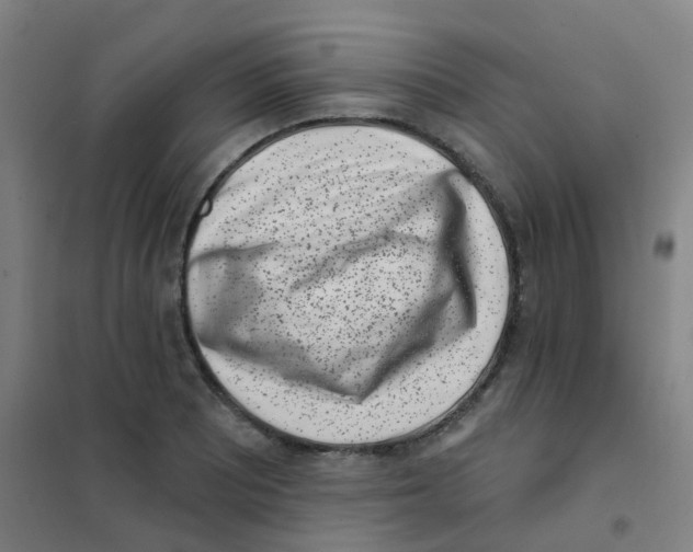 X0000101421081200808041122