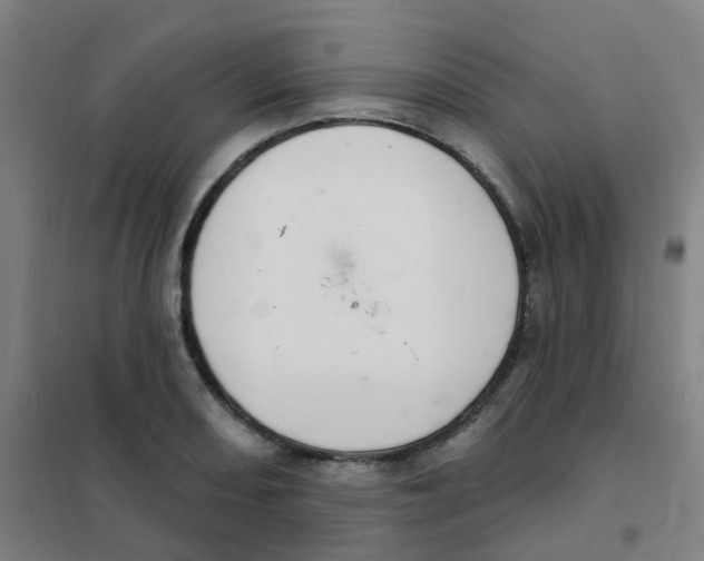 X0000101421082200808041122