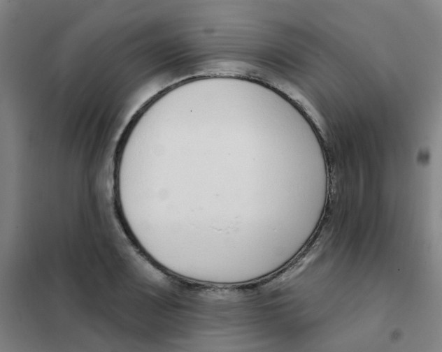 X0000101421083200808041122