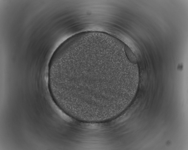 X0000101421084200808041122