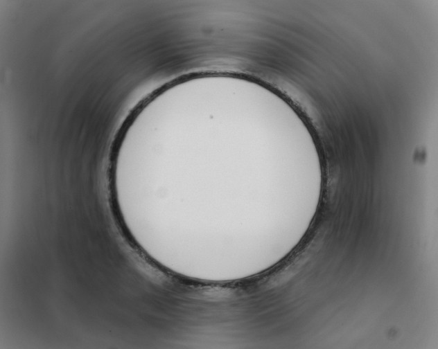 X0000101421085200808041122