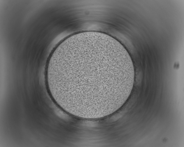 X0000101421086200808041122