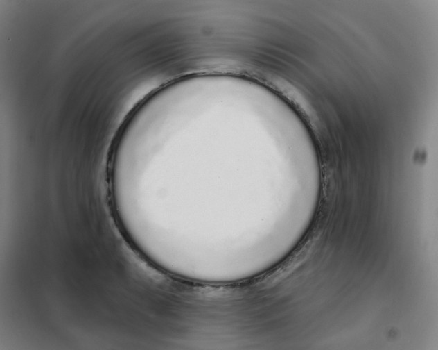 X0000101421087200808041122