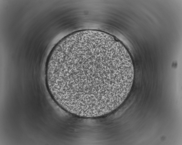 X0000101421088200808041122