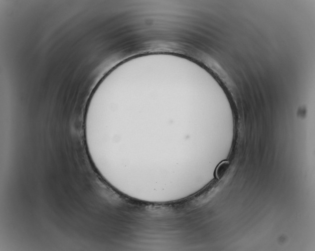 X0000101421089200808041122