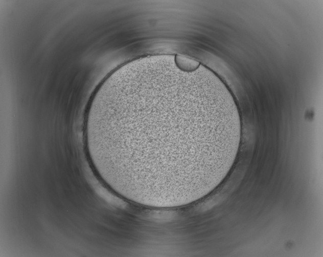 X0000101421090200808041122