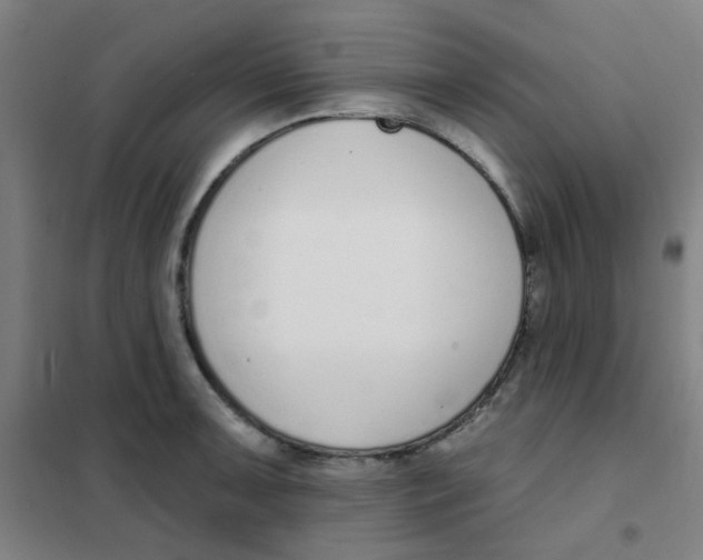 X0000101421091200808041122