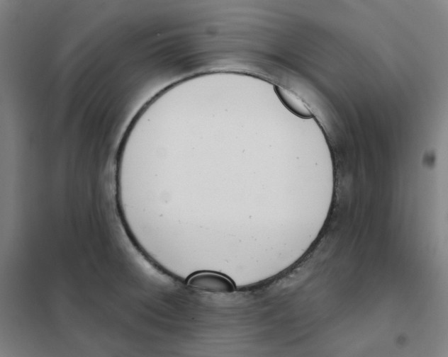 X0000101421092200808041122
