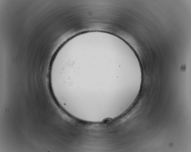 X0000101421093200808041122