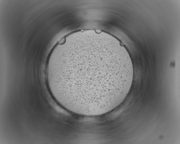 X0000101421094200808041122