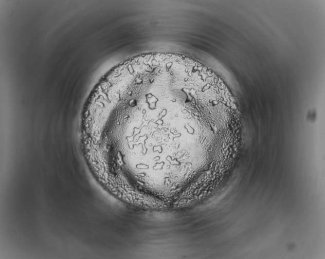 X0000101421095200808041122