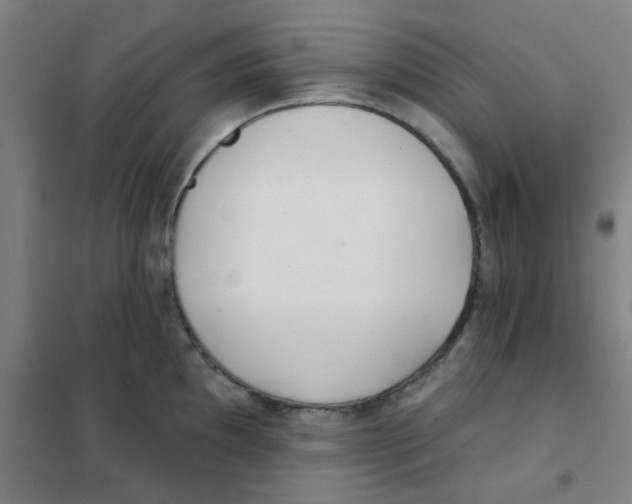 X0000101421097200808041122