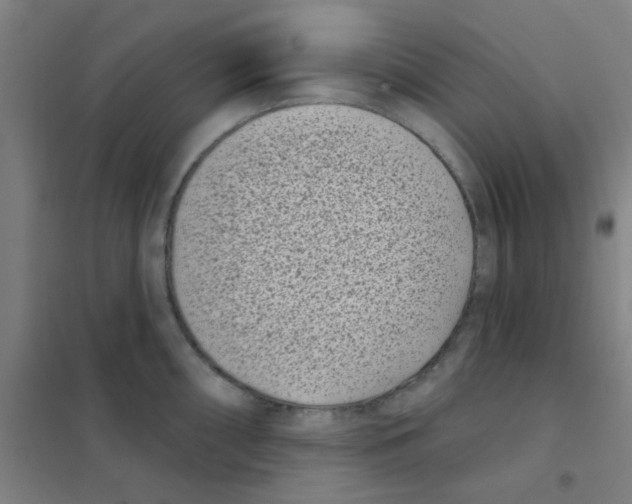 X0000101421098200808041122
