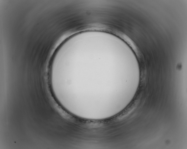 X0000101421099200808041122
