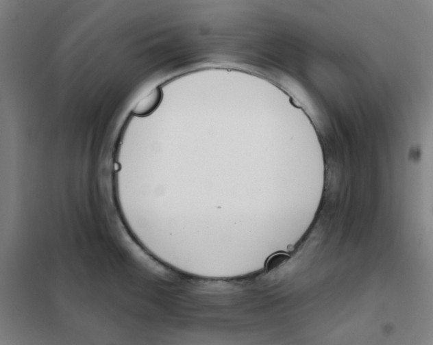 X0000101421100200808041122