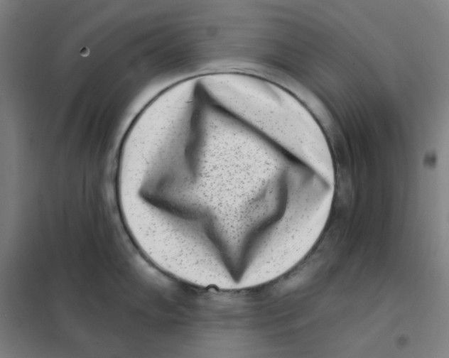 X0000101421102200808041122