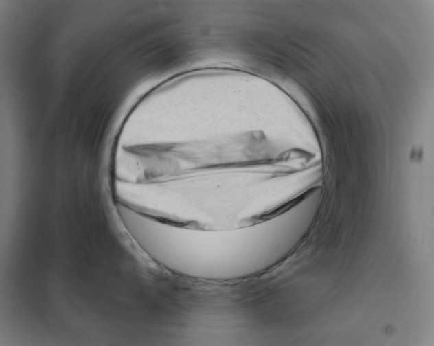 X0000101421104200808041122